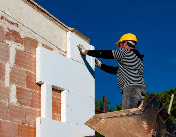 Best Insulation Removal  in Port Byron, NY