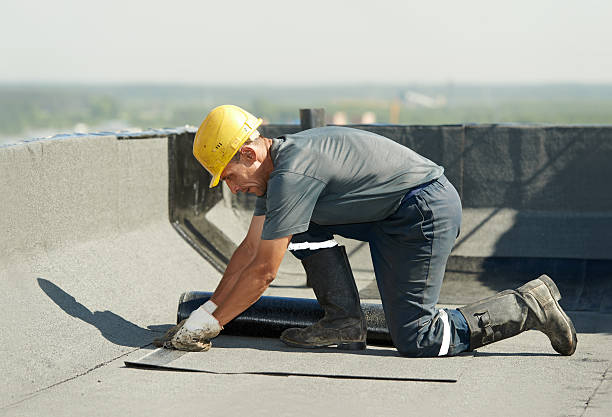 Best Insulation Repair Services  in Port Byron, NY