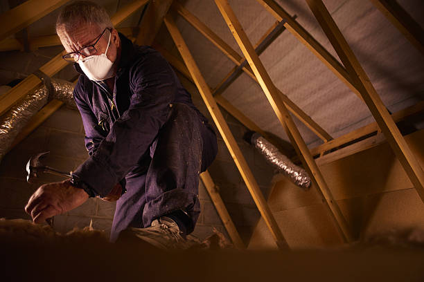Insulation Replacement Services in Port Byron, NY