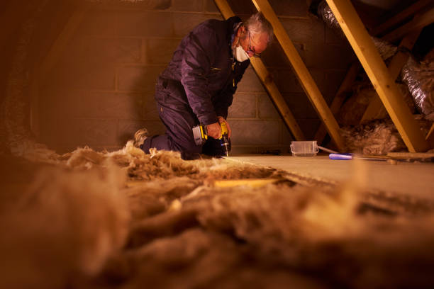 Best Insulation Contractor Near Me  in Port Byron, NY